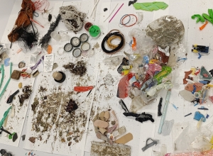 Microplastic pollution in aquatic environments