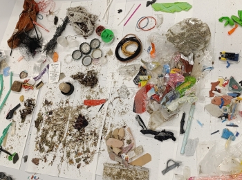 Microplastic pollution in aquatic environments